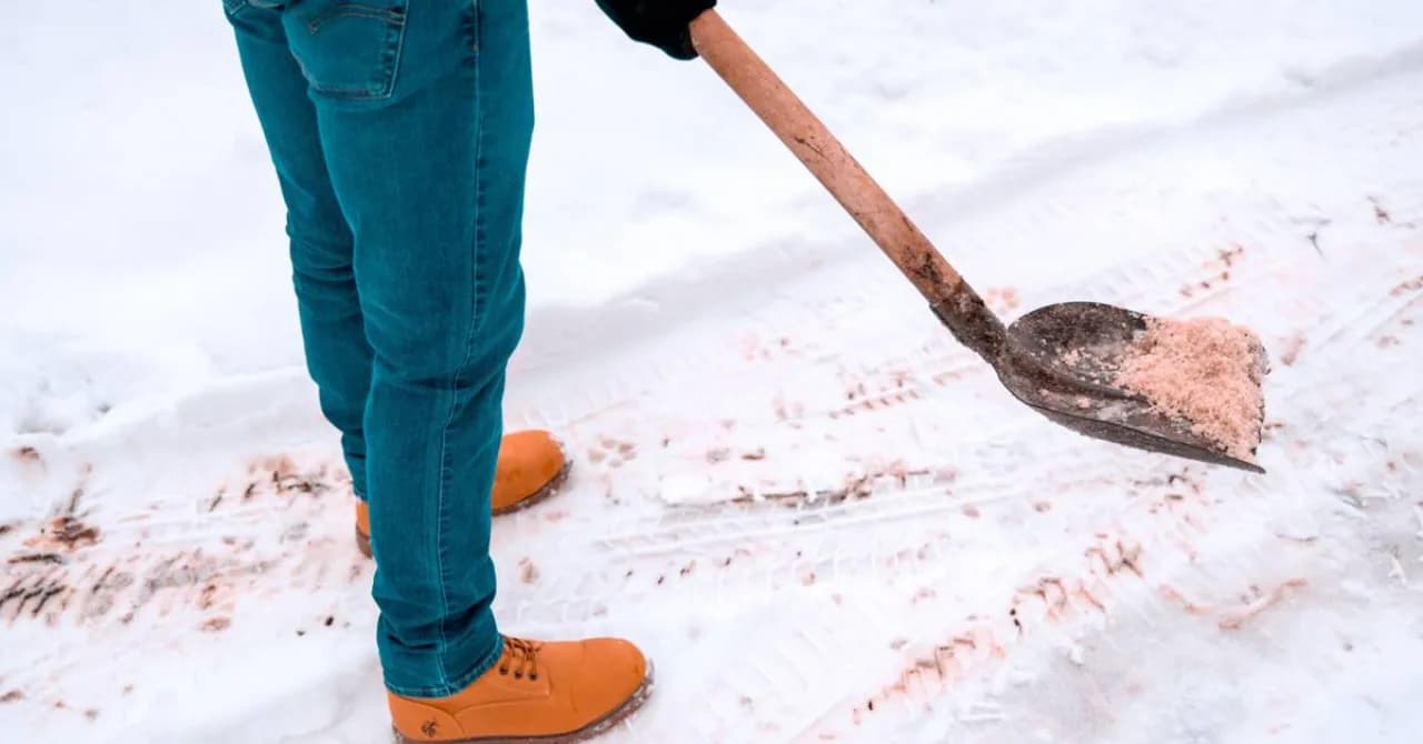 A Canadian operator spreading pink ice-melt pellets with a shovel across a snow-covered walkway — calcium-chloride blend in field application for snow.ca commercial walkway and entrance accounts.